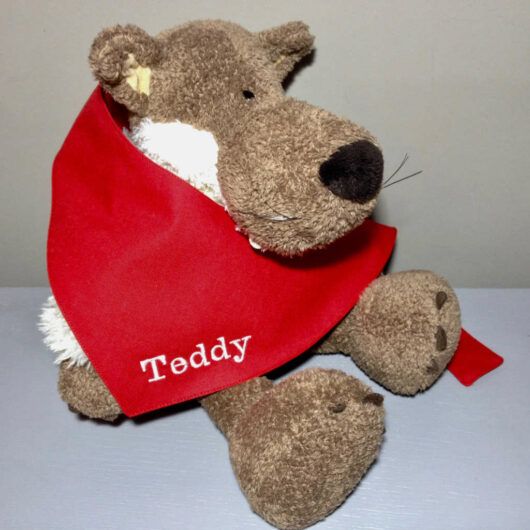 Hundehalstuch mit Namen Teddy